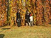 PICT0038.JPG
